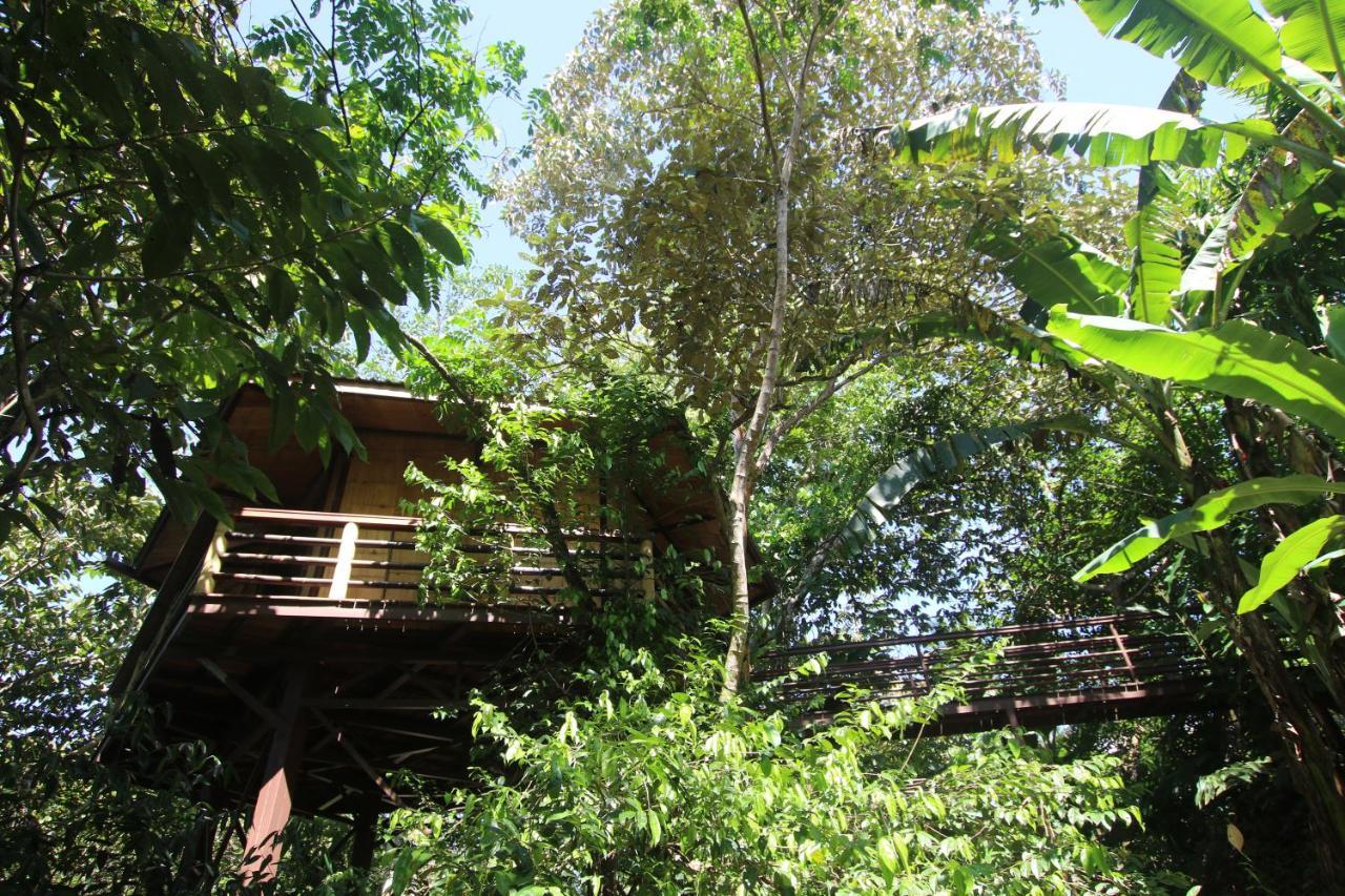 Treehouse Pilon Pavones Villa Pavones  Bagian luar foto