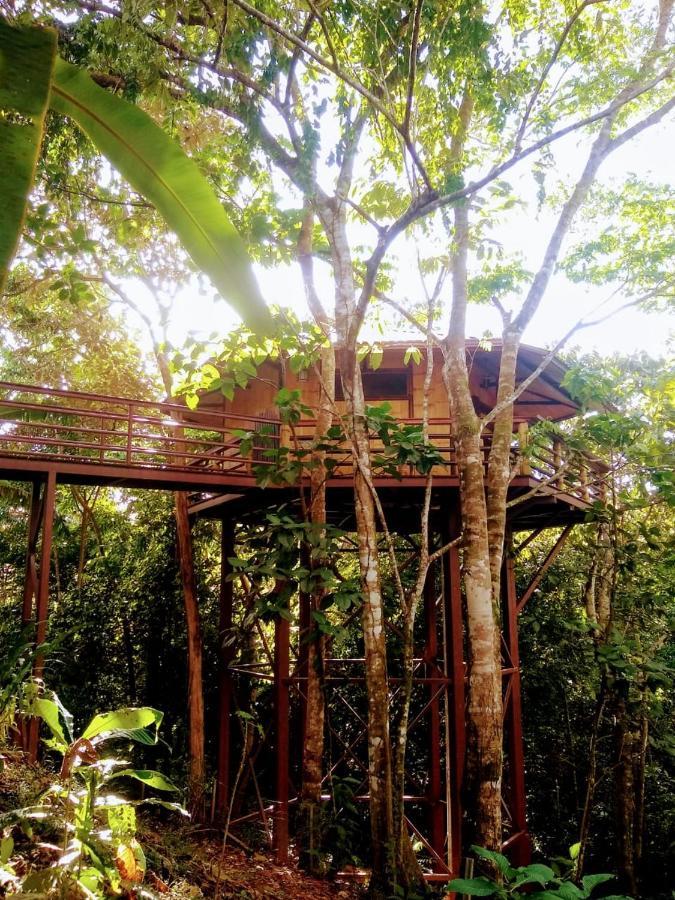 Treehouse Pilon Pavones Villa Pavones  Bagian luar foto