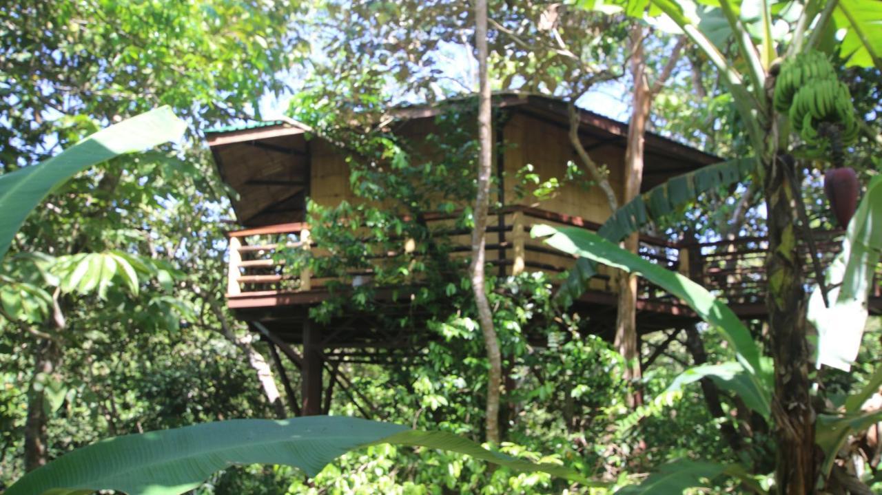 Treehouse Pilon Pavones Villa Pavones  Bagian luar foto
