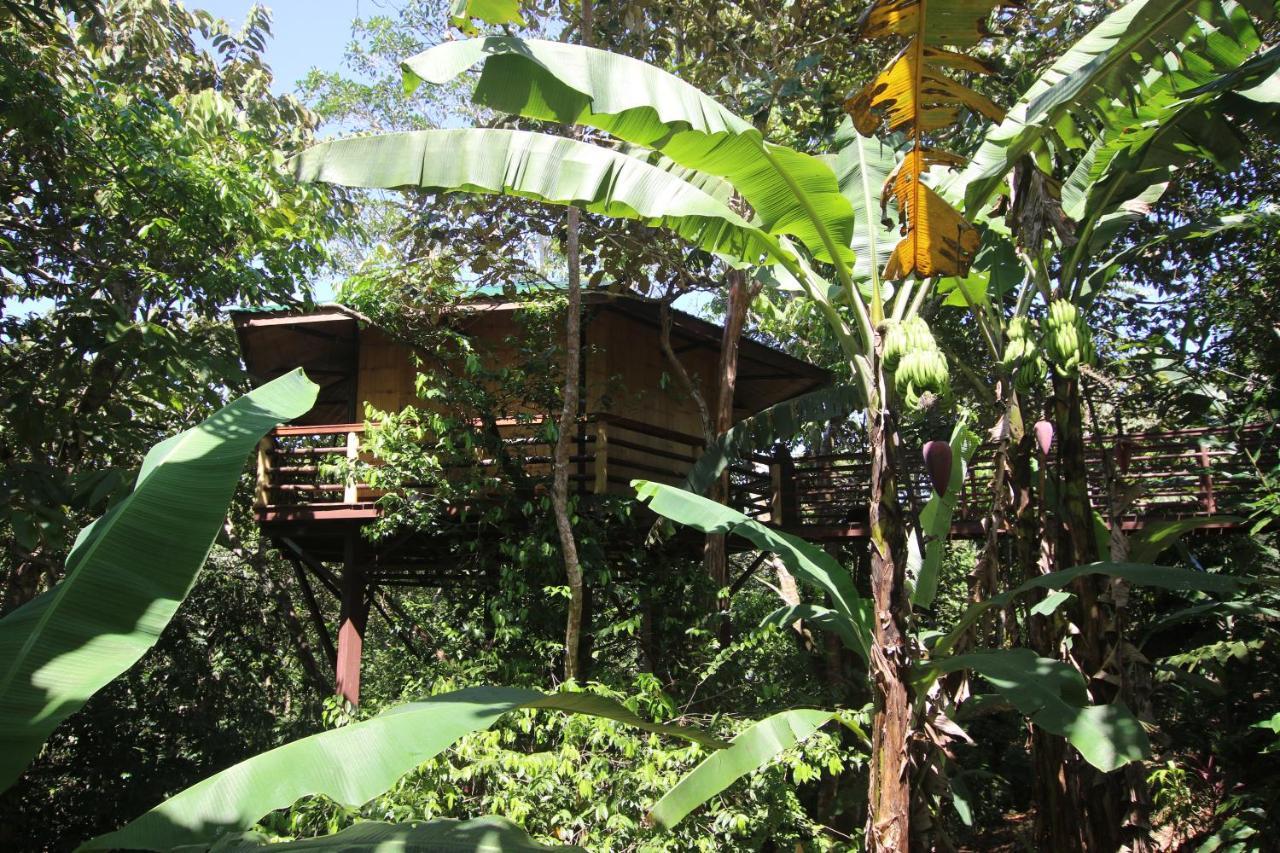 Treehouse Pilon Pavones Villa Pavones  Bagian luar foto