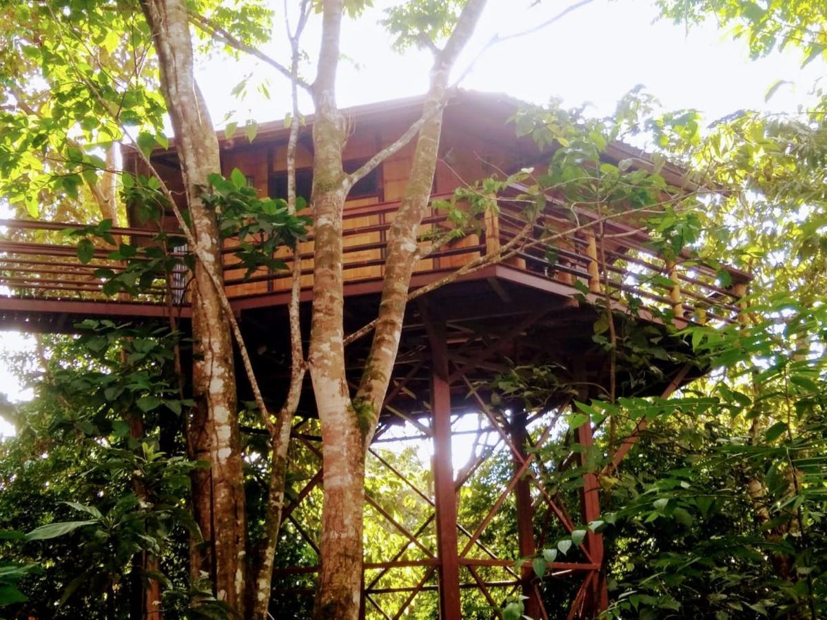 Treehouse Pilon Pavones Villa Pavones  Bagian luar foto