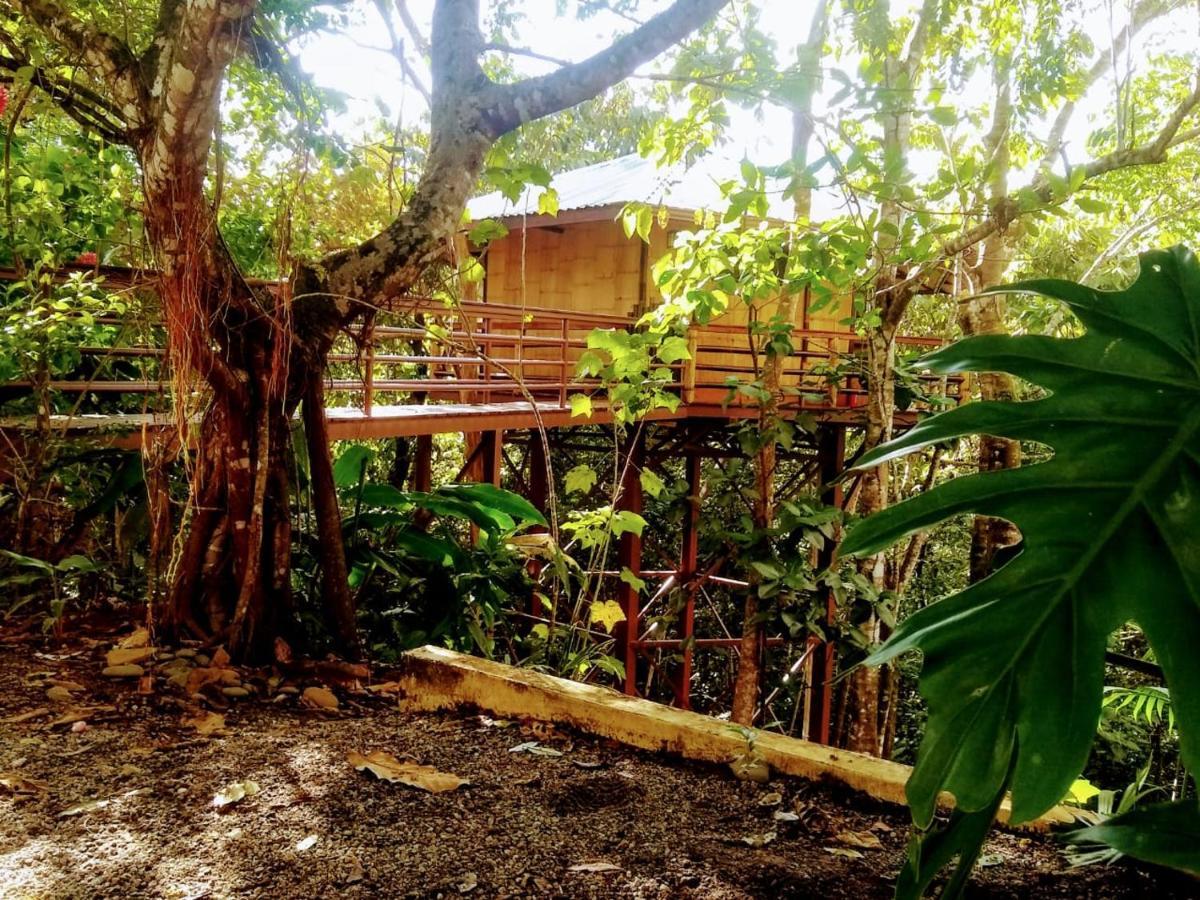 Treehouse Pilon Pavones Villa Pavones  Bagian luar foto
