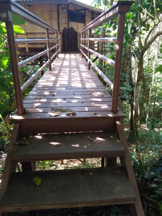 Treehouse Pilon Pavones Villa Pavones  Bagian luar foto